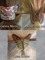 Moth Hair Brooches