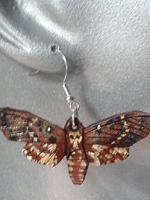 Death's Head Moth Earrings
