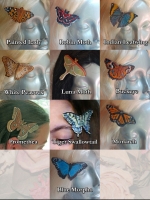 Butterfly Barrettes