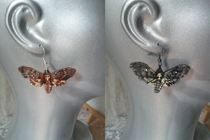 Death's Head Moth Earrings